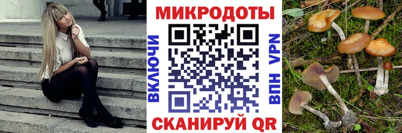 Галлюциногенные грибы Cubensis  Купить где  Полтавская 