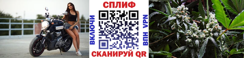 Купить где  Полтавская  Бошки марихуана планчик 